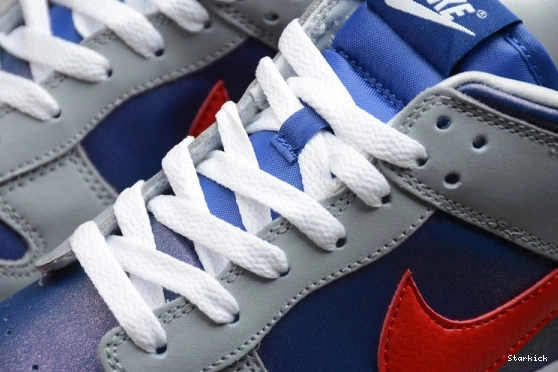 Nike CZ2667-400 Low (2020) Samba Dunk 0211